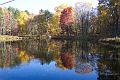 fall 043